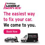 AutoNation Mobile Service