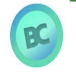 Bigcashweb - desktop/mobile - US